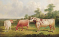A bull and cows in a wooded landscape - John Frederick Herring, Jnr.