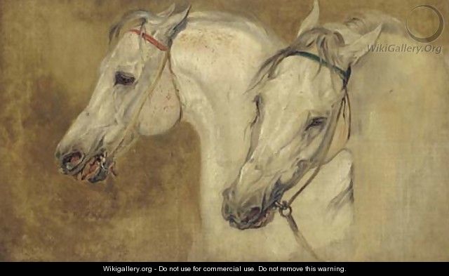 Two arab horses