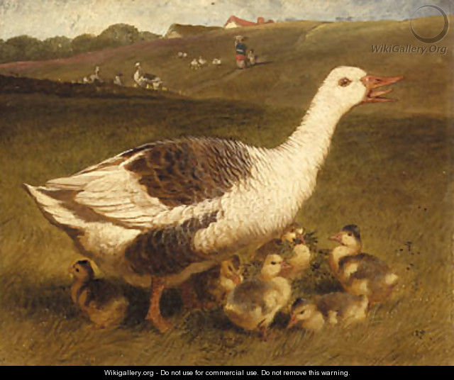 A Goose and Goslings - John Frederick Herring Snr