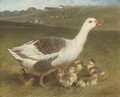 A goose and goslings in a landscape, figures beyond - John Frederick Herring Snr