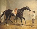 Queen of Trumps in a stable, with two grooms - John Frederick Herring Snr