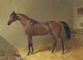 Pacelot, a bay stallion, in a stable - John Frederick Herring Snr