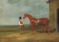 Mr. Dixon's Mountaineer, a chestnut colt, held by a groom outside a stable - John Frederick Herring Snr