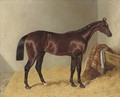 Mango, winner of the 1837 St. Leger Stakes, in a stable - John Frederick Herring Snr