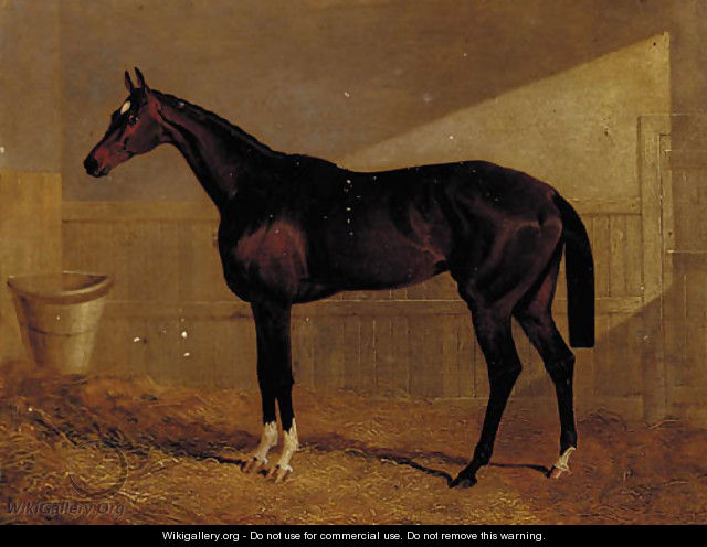 Lucetta, a bay racehorse in a stable - John Frederick Herring Snr