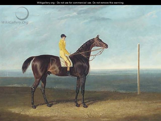 Jack Spigot, a dark bay racehorse with jockey up - John Frederick Herring Snr