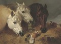 Horses feeding with two ornamental pigeons at a manger - John Frederick Herring Snr