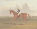 Colonel Peel's chestnut filly Vulture, with jockey up, on Newmarket Heath - John Frederick Herring Snr