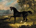 Camel, a dark bay racehorse in a landscape - John Frederick Herring Snr