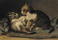 Playful Kittens - John Henry Dolph