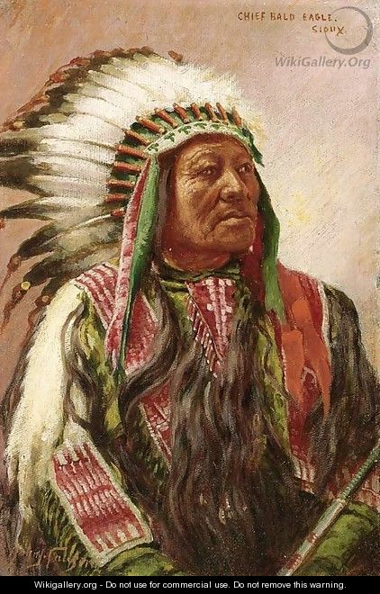 Chief Bald Eagle, Sioux - John Hauser