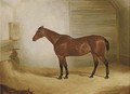 A bay in a stable - John Dalby