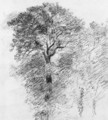 Elm Trees - John Constable