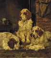 Clumber Spaniels 2 - John Emms