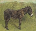 A Donkey - John Emms