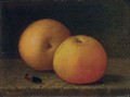 Two Apples and a Caterpillar - John E. Grouard