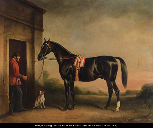 Vitellus, a black hunter, held by a groom, with a dog outside a stable - John Ferneley, Snr.