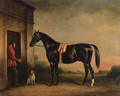 Vitellus, a black hunter, held by a groom, with a dog outside a stable - John Ferneley, Snr.