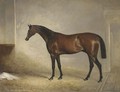 Attila, winner of the 1842 Derby, in a stall - John Ferneley, Snr.