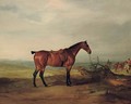 A saddled bay hunter in a landscape, with huntsmen and hounds beyond - John Ferneley, Snr.