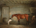 A bay Hunter with a Poodle in a Stable - John Ferneley, Snr.