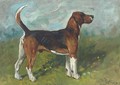 Tomboy, a hound in a landscape - John Emms