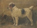 Terrier in a garden - John Emms