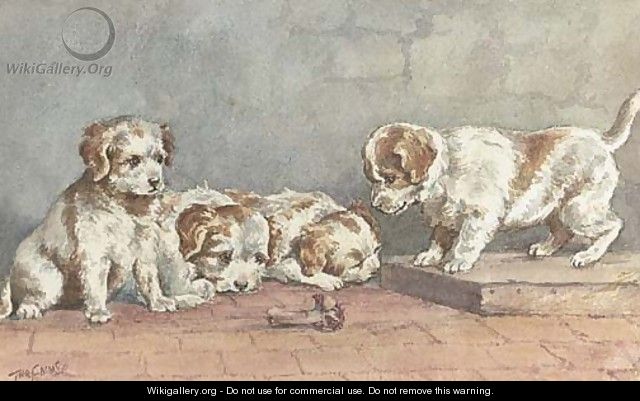 Puppies on a step - John Emms