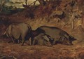 Pigs in a wood - John Emms