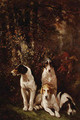 Hounds at Rest - John Emms