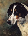 Gaylas, a Foxhound - John Emms