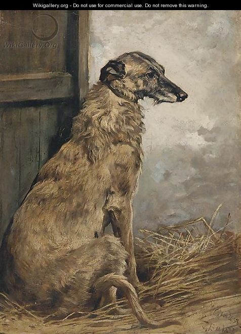 Countess, a deerhound - John Emms