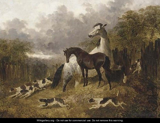 A mare and foal with a pack of hounds - John Frederick Herring, Jnr.