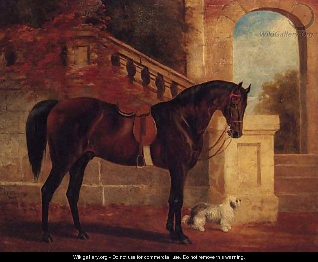 Adonis, a dark bay Hunter and Fido, a white Terrier, before a classical Terrace - John Frederick Herring, Jnr.