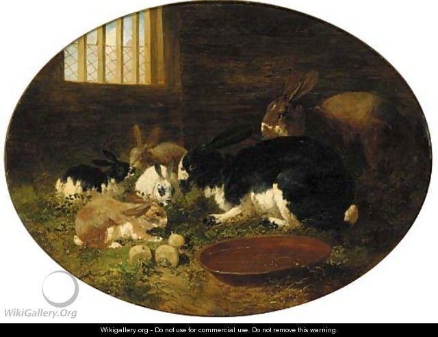 Rabbits in a barn - John Frederick Herring, Jnr.