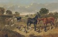 Horses and chickens in a farmyard - John Frederick Herring, Jnr.