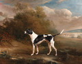 A Pointer in a Landscape - John Ferneley, Snr.