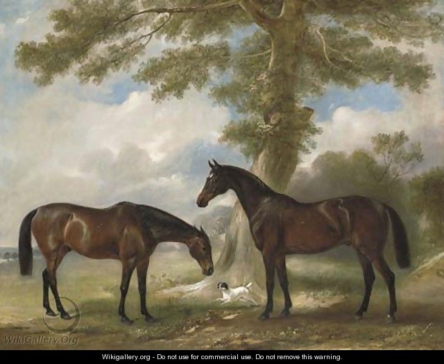 Two bay mares with a terrier by a tree, in a landscape - John Ferneley, Snr.