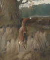 The hunted fox - John Alfred Wheeler