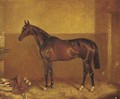 General Peace, a dark brown racehorse in a stable - John Alfred Wheeler