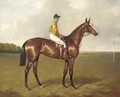 Flying Fox with jockey up - John Alfred Wheeler