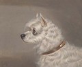 A skye terrier - John Alfred Wheeler