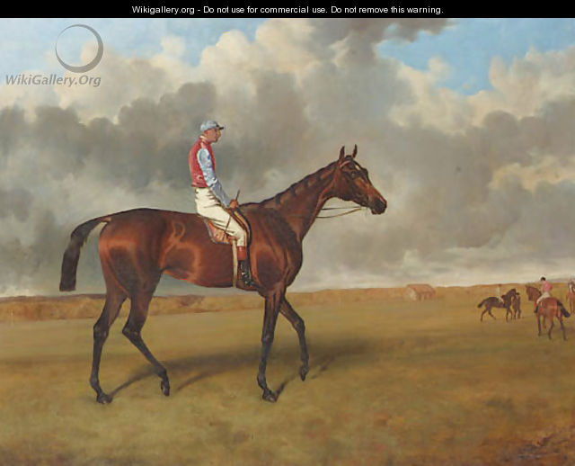 Miss Jummy, a bay racehorse with Jack Watts up, at Newmarket with other racehorses beyond - John Arnold Wheeler