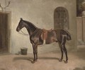 A saddled chestnut hunter outside the stables - John Alfred Wheeler
