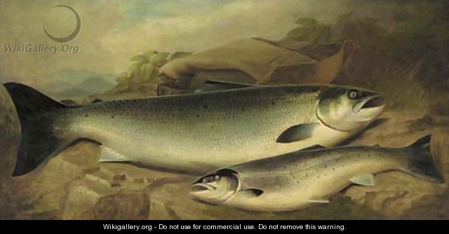 Salmon and trout on a river bank - John Russell
