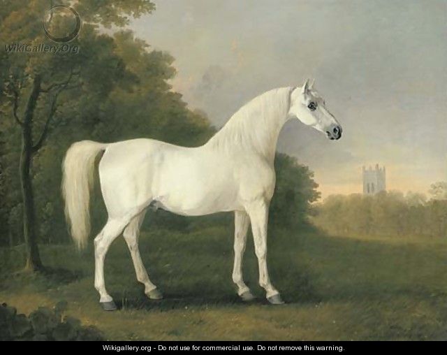 Mambrino, a grey stallion in a wooded landscape - John Boultbee