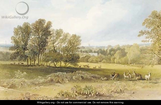View of Blenheim Park, Oxfordshire - John Chessell Buckler