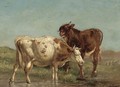Cattle watering - Johannes-Hubertus-Leonardus de Haas