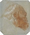 Head of a bearded old man in profile to the right - Lorenzo Tiepolo