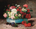 Geraniums in a ceramic container - Lonie Valmon